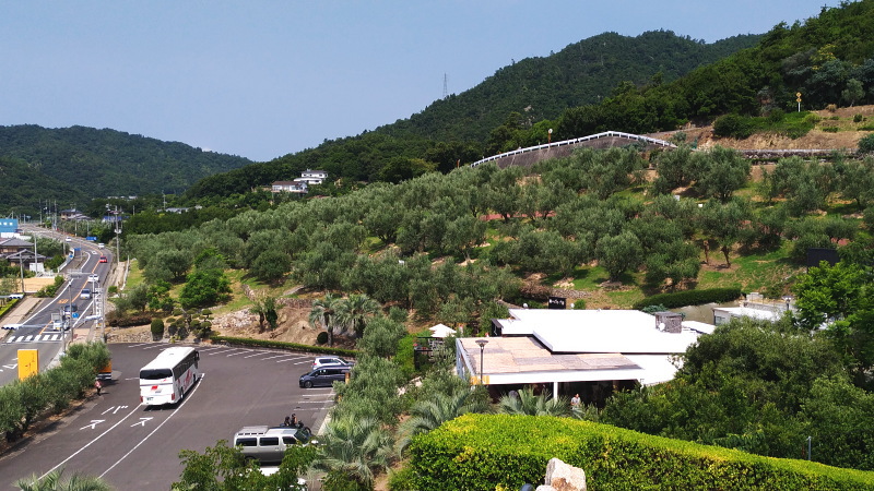 小豆島オリーブ園